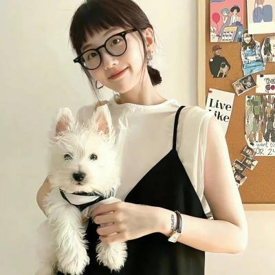 智理想情人